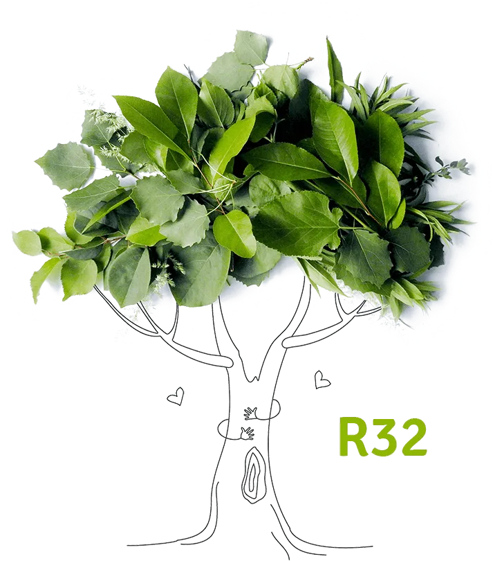 R32 Kältemittel by TCL